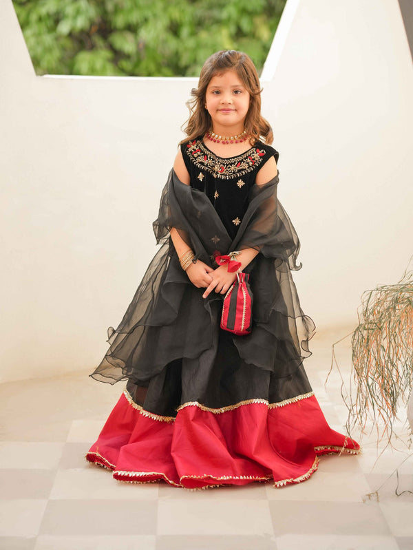 Desi Stitch - Erha lehnga choli  Eastern Wear For Girls
