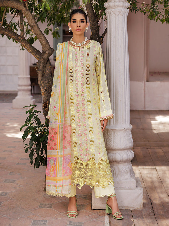 Eastka Latest Collection 2025 | Eastka 