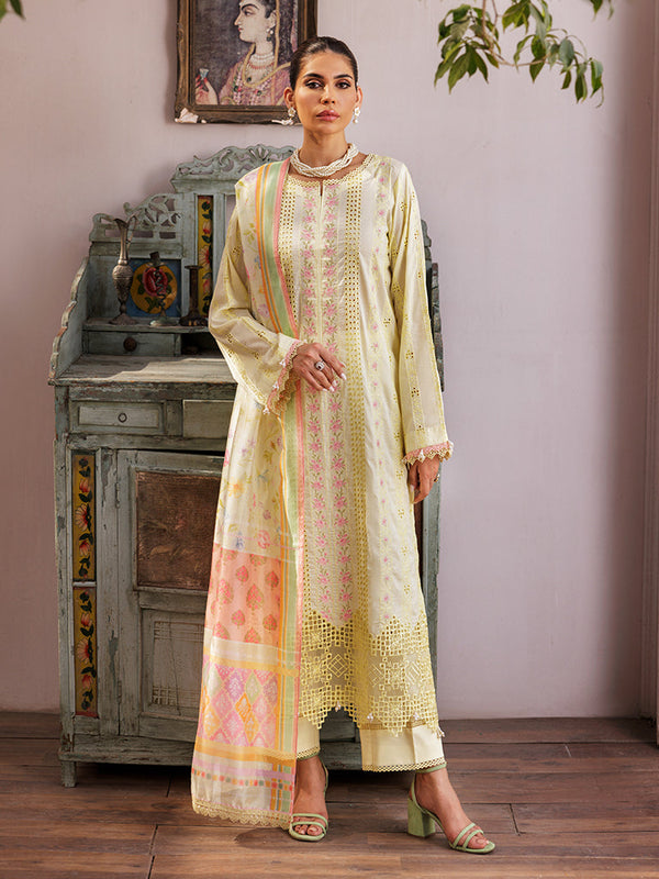 Eastka Latest Collection 2025 | Eastka 