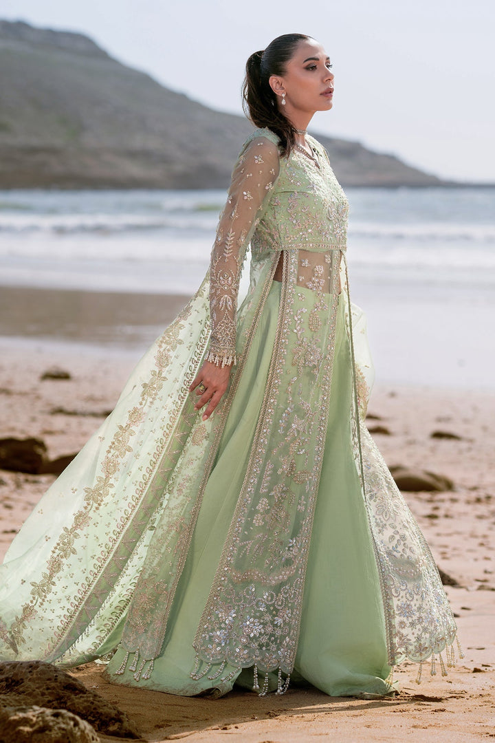 pakistani wedding lehnga