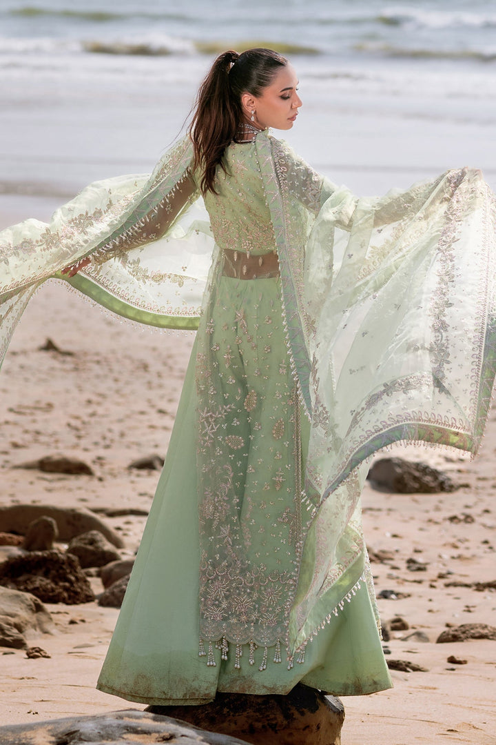 party wear saree for women