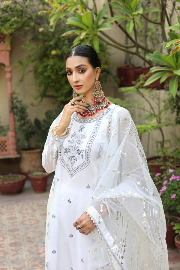 Noorangi - Stitched Apparel & Accessories Miraal Pakistani Dress