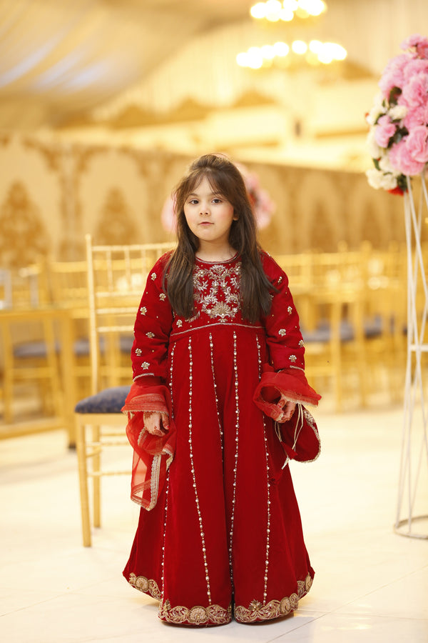 Desi Stitch - Mirha Velvet Maxi  Eastern Wear For Girls