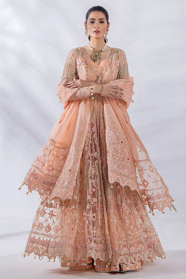 Eastka Latest Collection 2025 | Eastka 