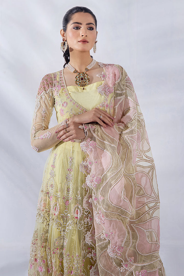 Eastka Latest Collection 2025 | Eastka 