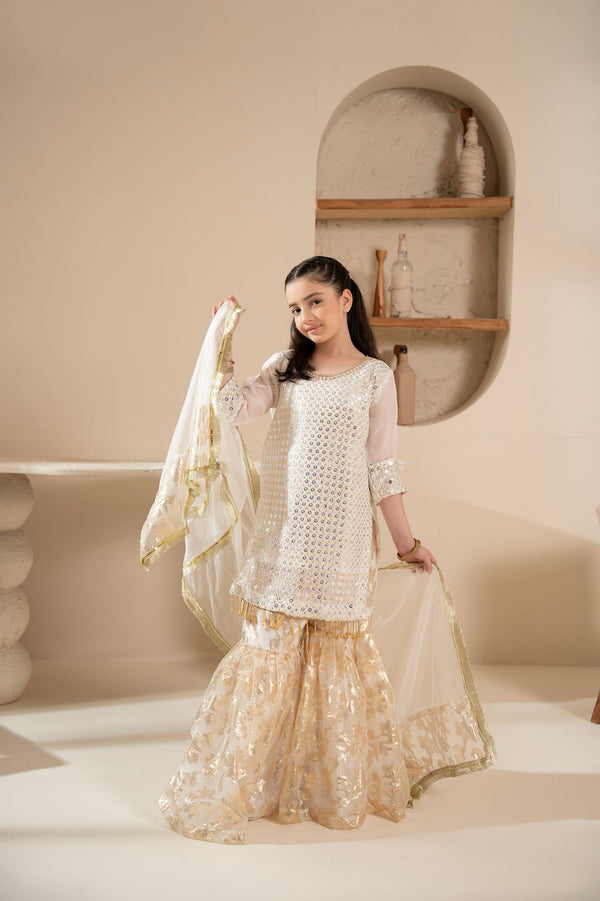 Desi Stitch - Hoor Pakistani Kids Wear Dress